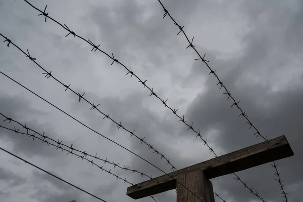 Close-up van prikkeldraad op grijze wolkenachtergrond. — Stockfoto