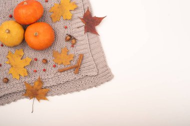 Sonbahar yatağı. Balkabakları ve akçaağaç yaprakları viburum, tarçın ve beyaz arka planda gri bir ekose üzerinde meşe palamudu bırakır. Boşluğu kopyala