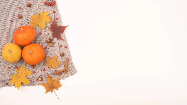 Autumn flat lay. Pumpkins and maple leaves viburnum and cinnamon and acorns on a gray plaid on a white background. Copy space — Stock Photo, Image