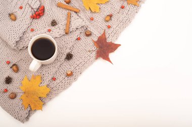 Sonbahar yatağı. Akçaağaç yaprakları, meşe palamudu ve gri bir battaniyede bir fincan sade kahve. Boşluğu kopyala