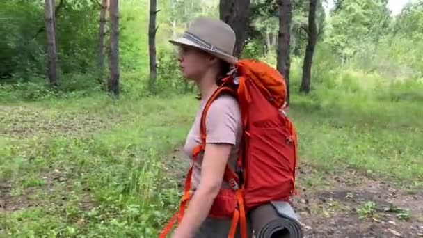 Młoda, kaukaska kobieta zajmuje się turystyką. Dziewczyna z plecakiem turystycznym spaceruje przez las iglasty — Wideo stockowe