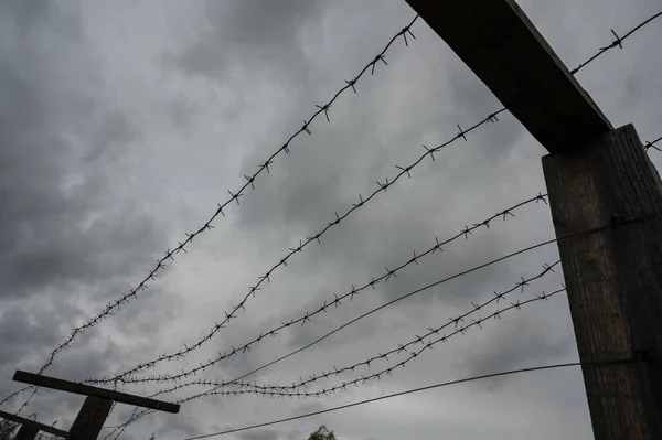 Close-up van prikkeldraad op grijze wolkenachtergrond. — Stockfoto