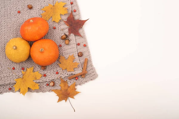 Autumn flat lay. Pumpkins and maple leaves viburnum and cinnamon and acorns on a gray plaid on a white background. Copy space — Stock Photo, Image