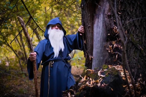Uzun gri sakallı ve ormanın derinliklerinde pelerinli bir büyücü. Cadı kostümü giymiş yaşlı bir adam. — Stok fotoğraf