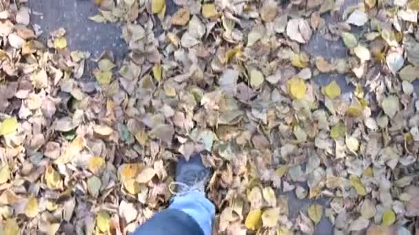 Pies para hombre en jeans azules y zapatillas deportivas grises en asfalto de otoño con hojas amarillas caídas. Vista en primera persona . — Vídeos de Stock