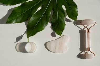 Pembe guaj kazıyıcı, silindir, beyaz bir masada yeşil yaprak kremi kavanozu. Kendine masaj malzemesi ve yüz ve boyun için cilt bakımı.