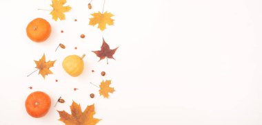 Sonbahar yatağı. Akçaağaç yaprakları, balkabakları ve beyaz arka planda meşe palamudu. Boşluğu kopyala