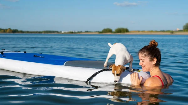 Собака джек-російський тер'єр плаває на дошці з господарем. Жінка і її домашня тварина проводять час разом біля озера — стокове фото