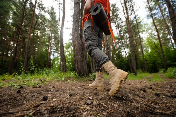 La femme est engagée dans la randonnée dans une forêt de pins. gros plan des jambes, — Photo