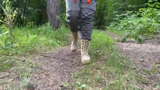 The woman is engaged in hiking in a pine forest. close-up of legs, — Stock Video