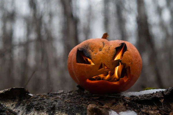 Enge pompoen met vlamtongen in een dicht bos. Jack o lantaarn voor Halloween — Stockfoto