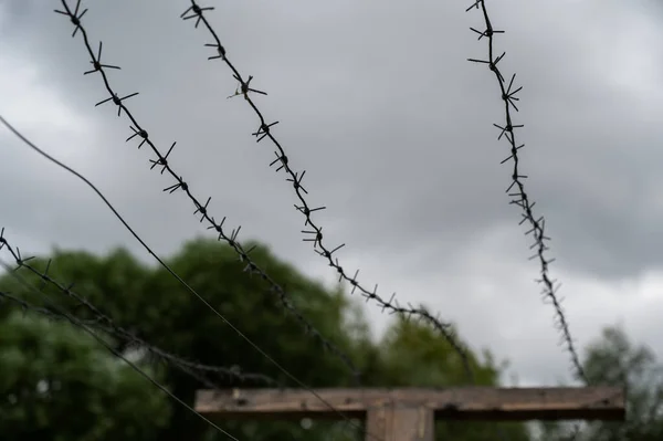 Close-up van prikkeldraad op grijze wolkenachtergrond. — Stockfoto