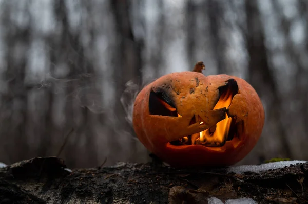 Enge pompoen met vlamtongen in een dicht bos. Jack o lantaarn voor Halloween — Stockfoto