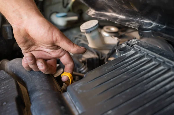 Bir otomobil tamircisi bir araba motorunun yağ seviyesini kontrol etmek için bir çubuk çıkarır.. — Stok fotoğraf