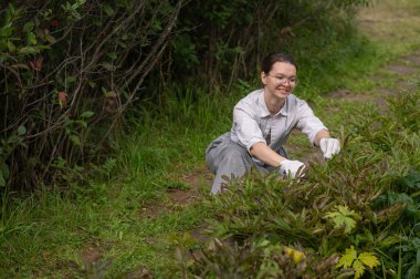 Genç beyaz kadın çalıları buduyor.