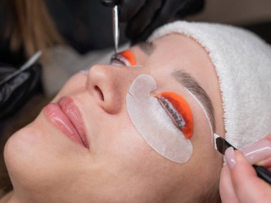 Profesyonelce katlama, kirpik boyama ve kaş boyama süreci. Dört elli prosedür