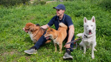Beyaz bir adam üç köpekle yürür. Köpek gezdirici