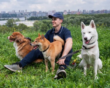 Beyaz bir adam üç köpekle yürür. Köpek gezdirici