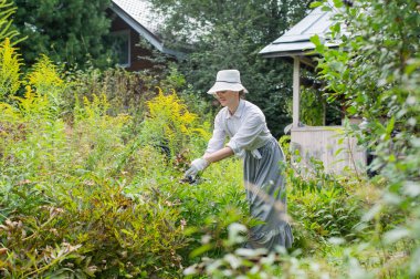 Genç beyaz kadın çalıları buduyor.