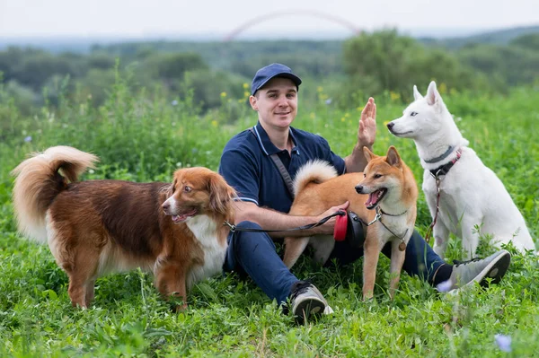 Beyaz bir adam üç köpekle yürür. Köpek gezdirici