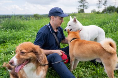 Beyaz bir adam üç köpekle yürür. Köpek gezdirici