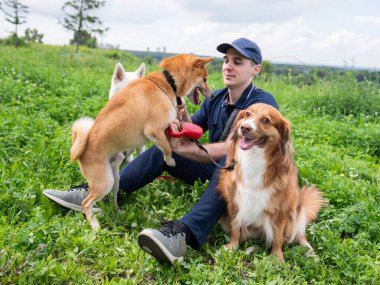 Beyaz bir adam üç köpekle yürür. Köpek gezdirici