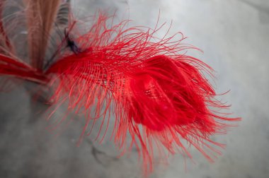 Dekor dükkanında renkli dekoratif tüyler