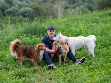 Beyaz bir adam üç köpekle yürür. Köpek gezdirici