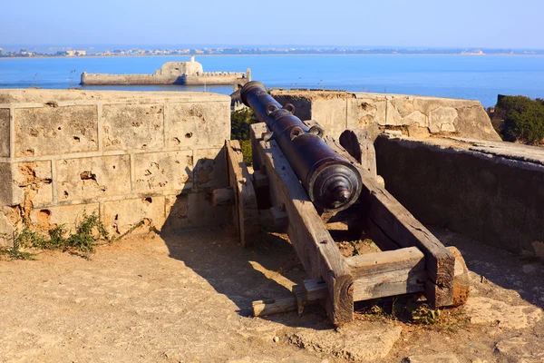 Old cannon in Diu Fort — Stock Photo, Image