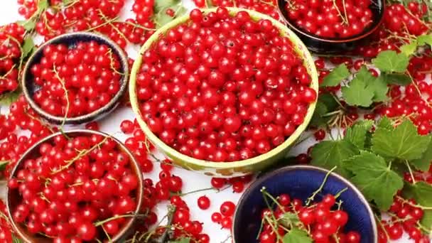 Ceramic bowls with red currant — Stock Video