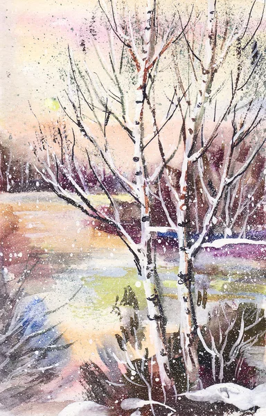 冬季景观与俄罗斯白桦 — 图库照片
