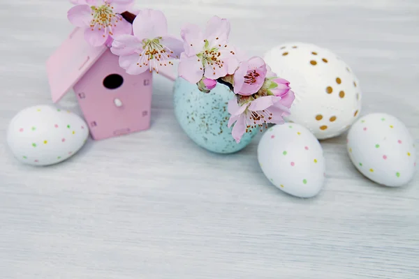 Easter eggs with branch of cherry tree flowers — Stock Photo, Image