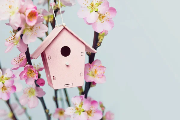 Lilla fågel hus — Stockfoto