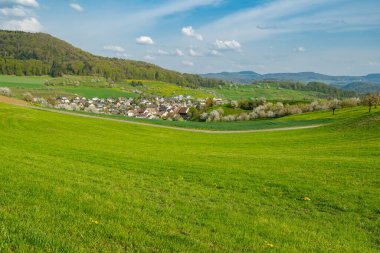 İsviçre 'de bahar çayırları ve tarlaları. Parlak bahar günü