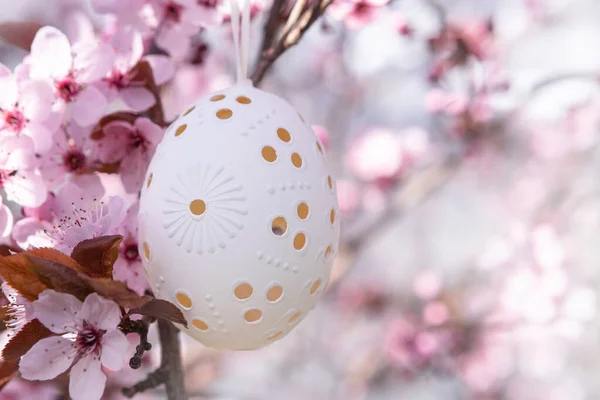 Декоративні Великодні Яйця Висять Квітучому Вишневому Дереві Рожевими Квітами Великодній — стокове фото