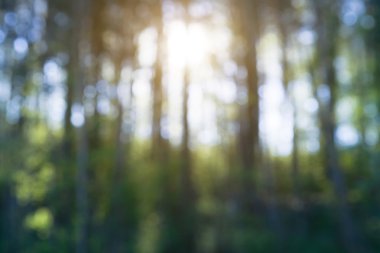 Soyut doğa arkaplanı