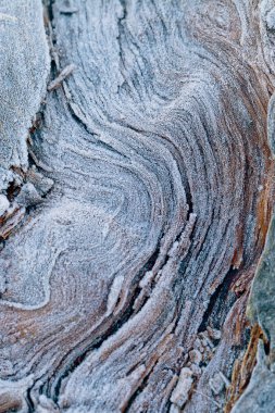 Ahşap arka planda hoarfrost