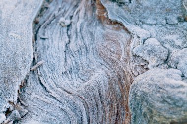 Ahşap arka planda hoarfrost