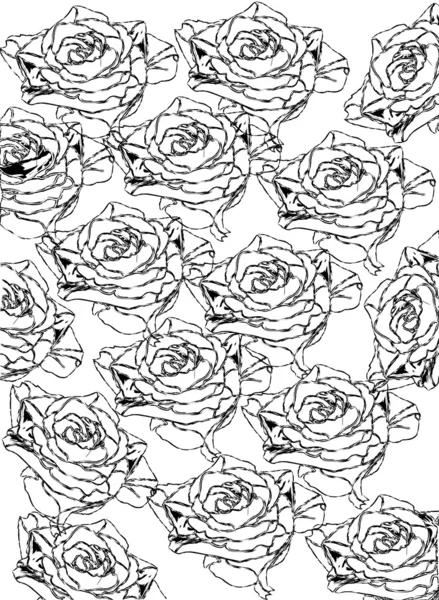 Graphic roses — Stock Photo, Image