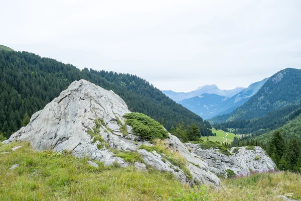 La Rollaz valley — Stockfoto