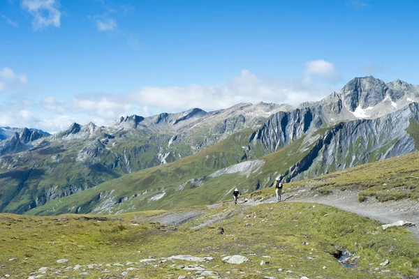 Colle della Seigne — Stok Foto