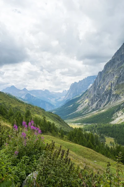 Val ferret, Italië — Stockfoto