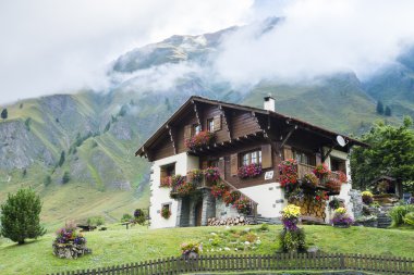 Swiss chalet yaban gelinciği içinde