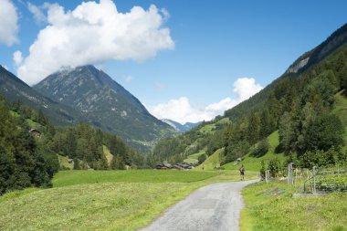 Ultra Trail du Mont Blanc çalıştırıcıları