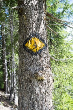 Ağaçta Mont Blanc eşkenar dörtgen logosu