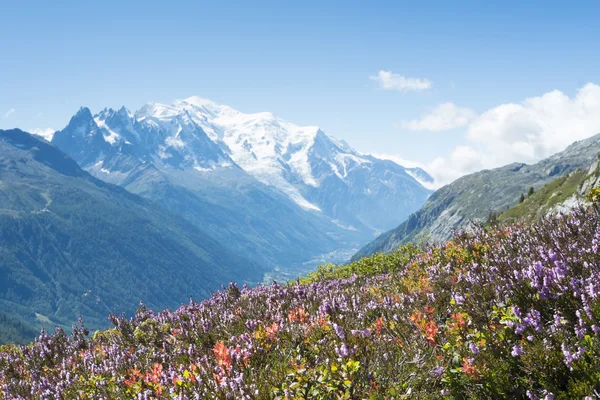 Mont blanc — Stock fotografie