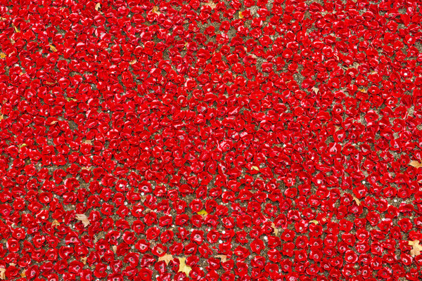 Blood Swept Lands and Seas of Red