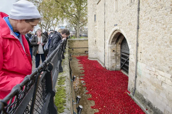 Blood Swept Lands and Seas of Red — Stock Photo, Image