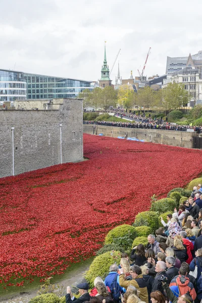 Blood Swept Lands and Seas of Red — Stock Photo, Image