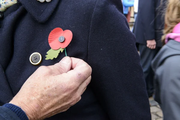 Remembrance day — Stock Photo, Image